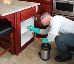 Inspecting cabinet, BJ's Consumer's Choice Pest Control