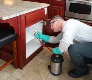 Inspecting cabinet, BJs Consumers Choice Pest Control