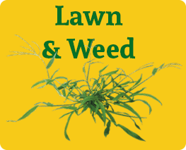 Lawn & Weed Treatment Turlock,  BJ's Consumer's Choice Pest Control
