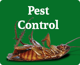 pest control enfield